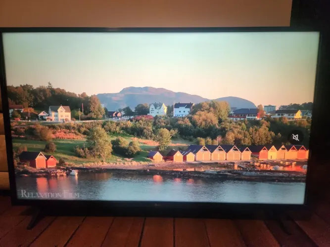 TV LG FULL HD 43'