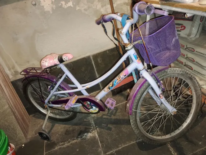 Bicleta aro 20