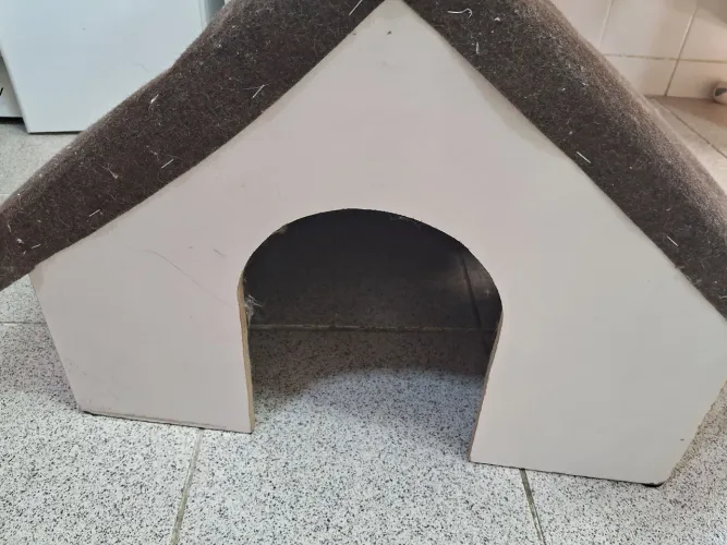 Casinha para gato