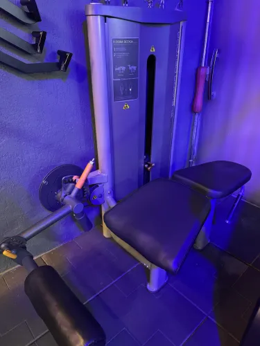Mesa flexora Movement 