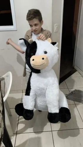 Urso de Pelúcia