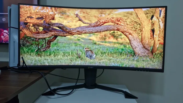 Monitor husky tempest 34? curvo