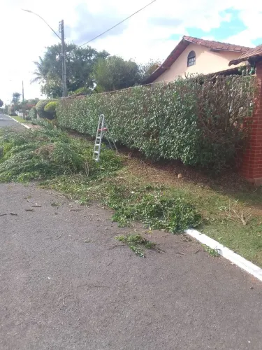 Serviços de limpeza (jardineiro)