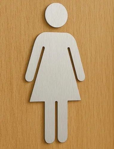 Placa De Sinalização Banheiro Feminino Inox Escovado