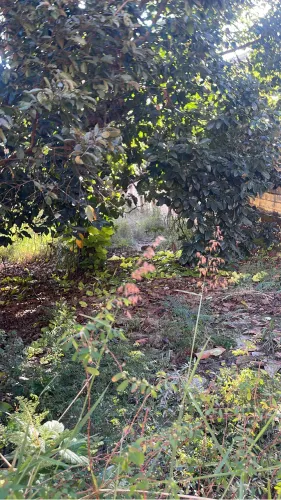 Vendo terreno vila Paula escriturado