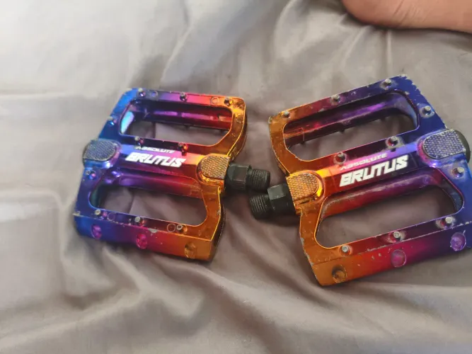 Pedal brutus