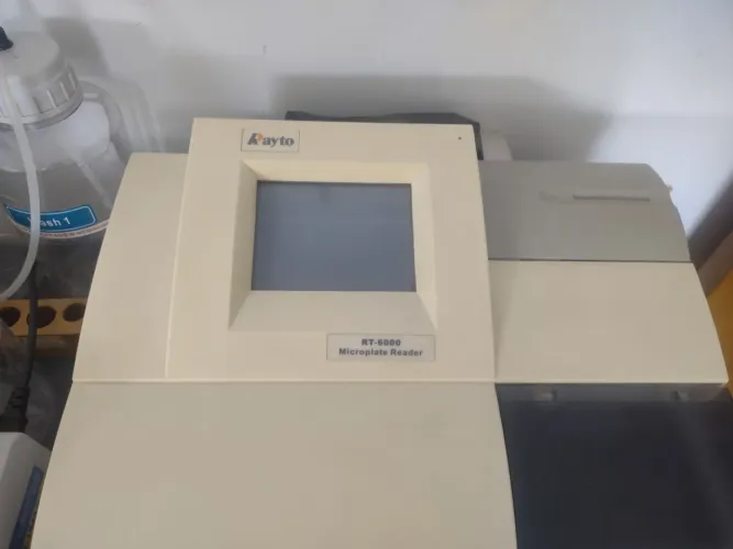 Leitora de Elisa