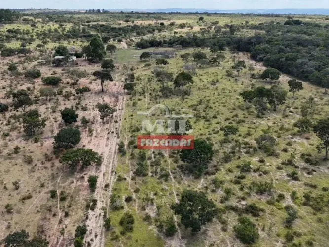 Fazenda 111,5 alqueires (540 hectares) Buritis - MG