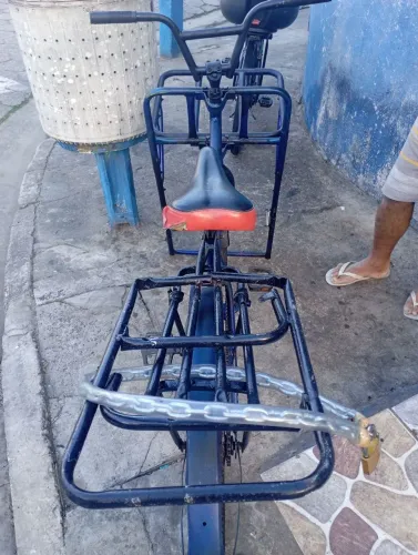 Bicicleta cargueira