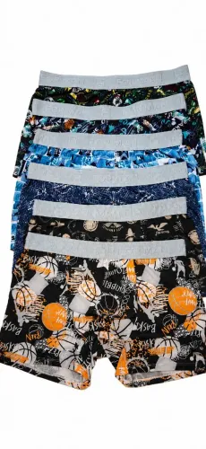 Kit Cueca Boxer Adulto Micofibra P M G Gg