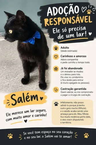 Doação de gato