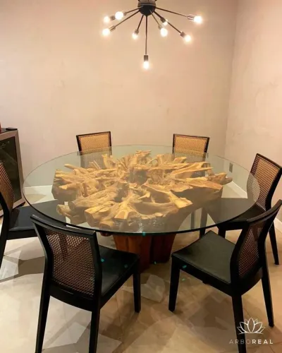 Raiz decorativa