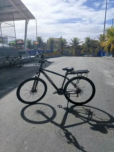 Bicicleta estilo RJ