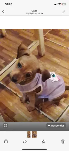 Quem vai ser a família que ela sempre sonhou?
