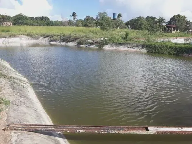 Excelente Granja com 15 hectares na região de vera cruz