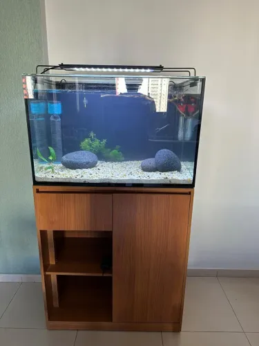 VENDO AQUÁRIO COMPLETO - 160 litros