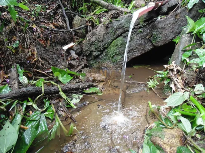 Terreno à venda em Matilde ES com 24,5 Hectares, Nascente e Eucalipto Pronto para Corte