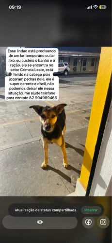 LAR FIXO OU TEMPORÁRIO
