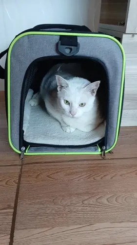 Bolsa de transporte pet
