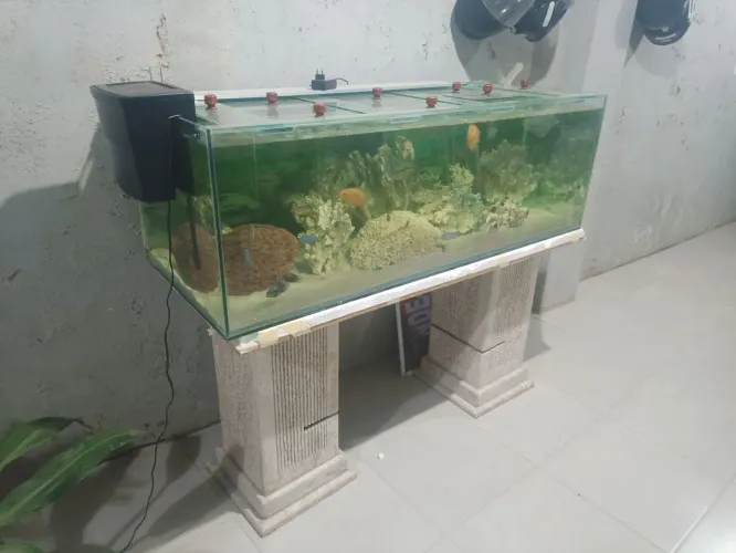 Aquario Grande Completo 