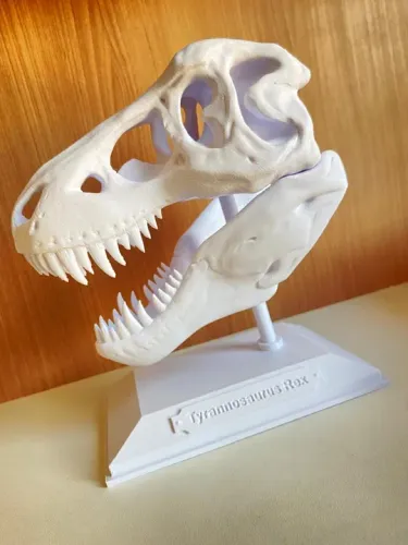 Crânio de Tiranossauro Rex em 3D