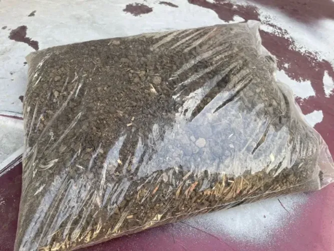 Esterco Adubo Orgânico Bovino