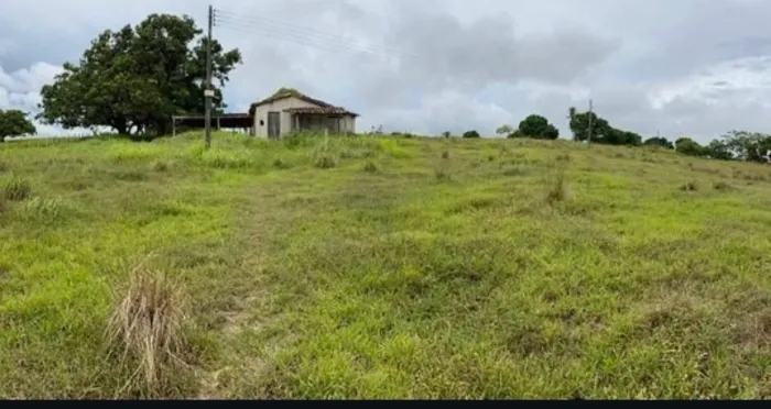 Terreno medindo 8 tarefas a 100 metros da cidade de moita bonita/SE