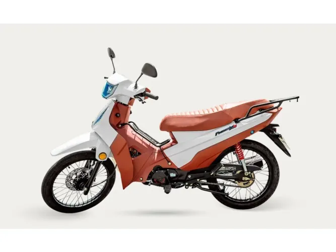 Shineray Phoenix 50 2026