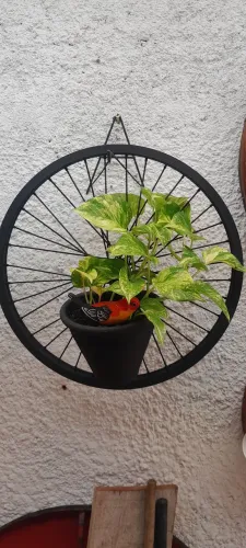 Roda de bicicleta decorativa com vaso cada uma 100