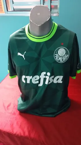 Camisa do verdão!