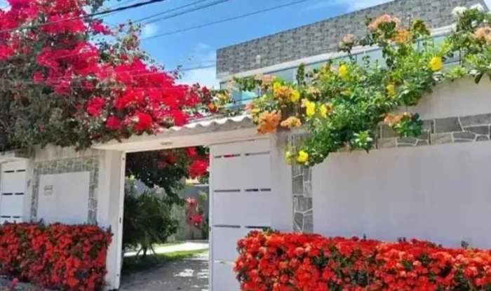 - Casa no Vinhais