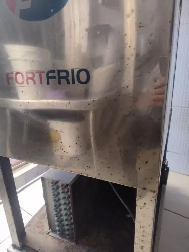 Máquina de sorvete é picolé Fort frio