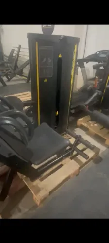 abdominal Movement RT