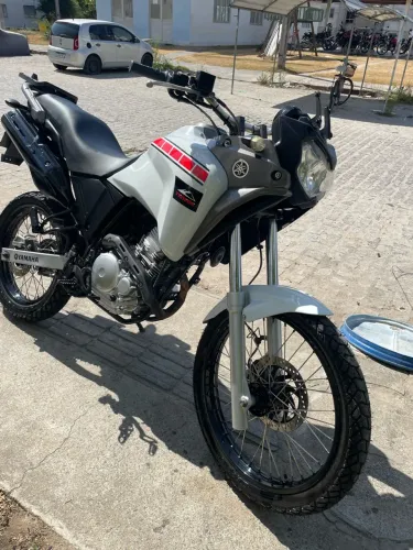 Yamaha XTZ 250 Tenere/tenere Blueflex 2013