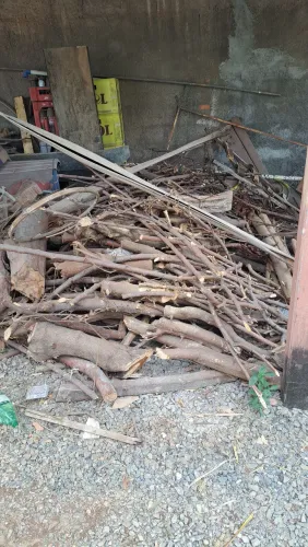 Lenha de goiaba e amora