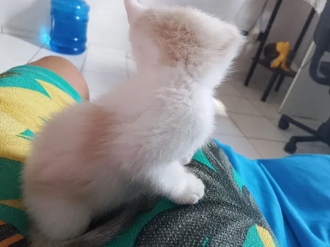Doação 