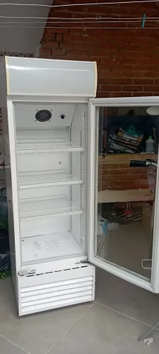 Freezer expositor 110v
