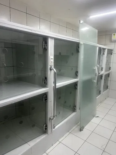 Vendo portas de vidro pra internamento de clínica veterinária