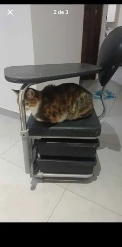 Ciranda de Manicure 