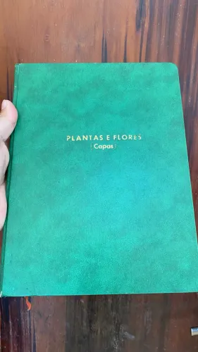 Plantas e flores