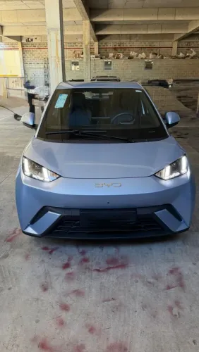 BYD Dolphin Mini (Elétrico) 2026