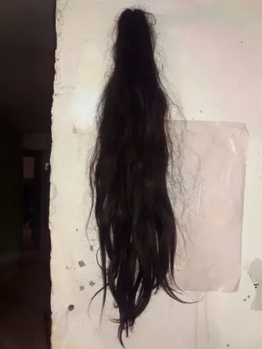 , rabo de cavalo na cor castanho