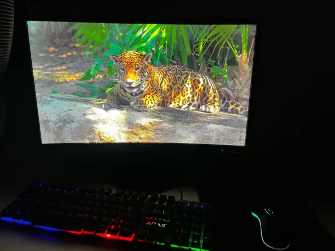 Pc Completo