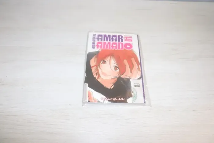Mangá Amar e Ser Amado - Volume Único | NewPOP | Aishi Aisare | +18