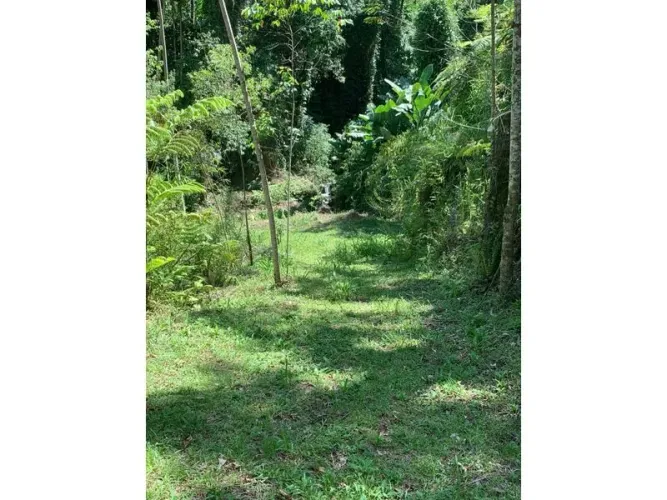 Terreno RIO DOS CEDROS - SC