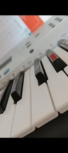 Teclado Casio CTK-230