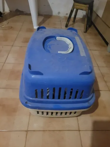 Casa de gato ou cachorro n 1