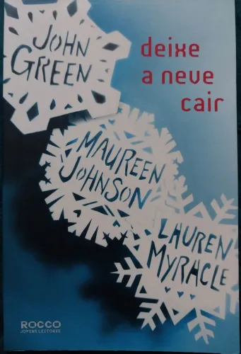 Livro - Deixe a neve cair