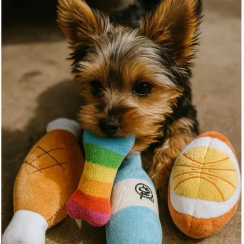 Amor de quatro patas