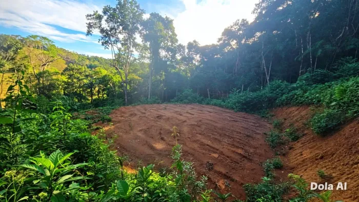 2 Lotes 5.000m2 platô com vista, plano, troco imóveis, veículos mesmo LEILÃO, euro, dólar 